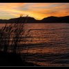 20101113_428